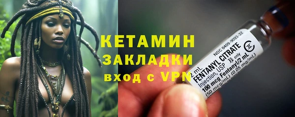 трава Бородино