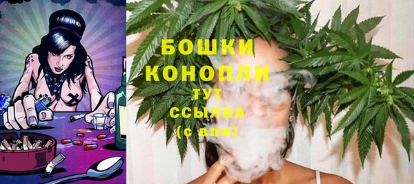 трава Бородино