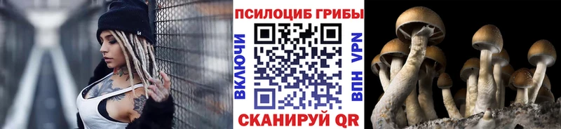 ОМГ ОМГ рабочий сайт Феодосия Галлюциногенные грибы Psilocybine cubensis